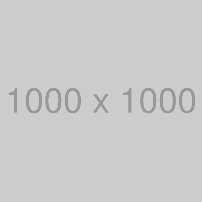 81jdzxhljl__sl1500_